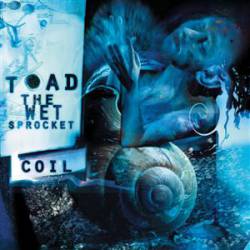 Toad the Wet Sprocket : Coil